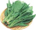 ほうれん草